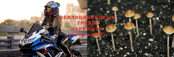 кокаин премиум Беломорск
