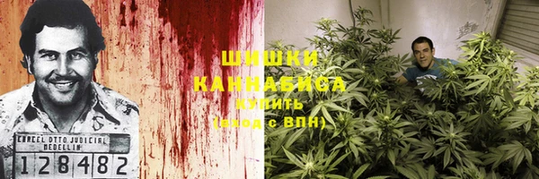 экстази Белокуриха