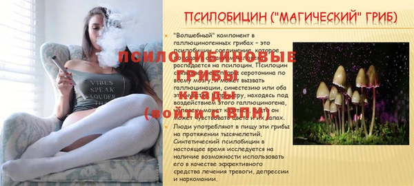 хмурый Билибино